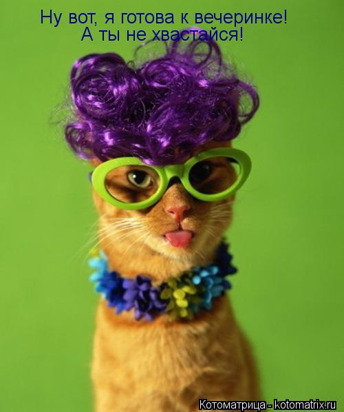 Котоматрица: Ну вот, я готова к вечеринке! А ты не хвастайся!