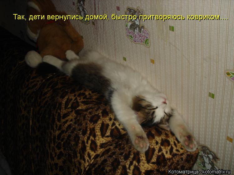 Котоматрица: Так, дети вернулись домой, быстро притворяюсь ковриком....