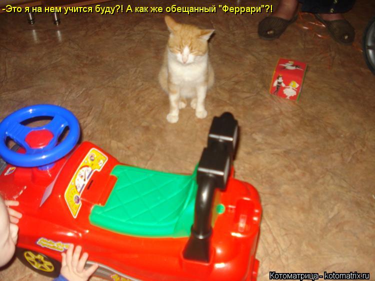 Котоматрица: -Это я на нем учится буду?! А как же обещанный "Феррари"?!