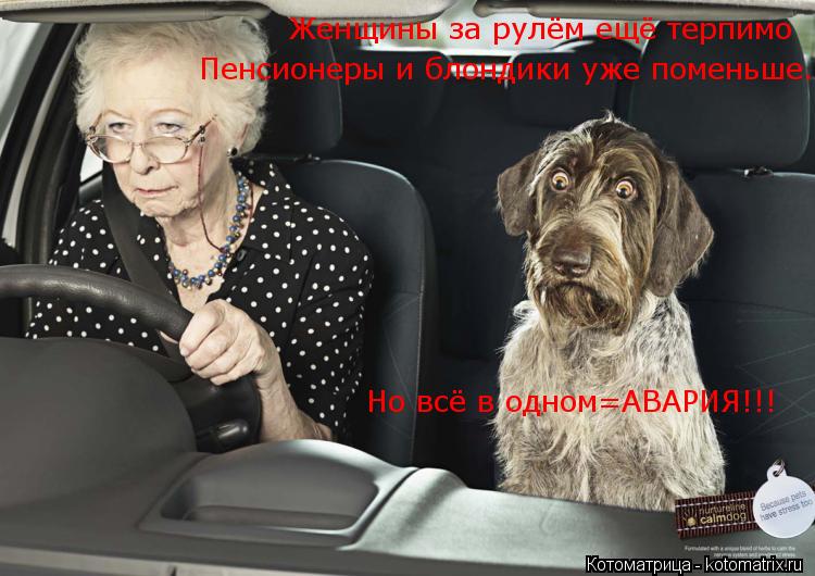 Котоматрица: Женщины за рулём ещё терпимо Пенсионеры и блондики уже поменьше. Но всё в одном=АВАРИЯ!!!