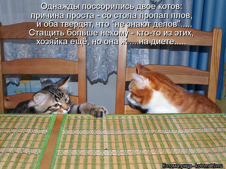 Котоматрица: Однажды поссорились двое котов: причина проста - со стола пропал плов, и оба твердят, что "не знают делов"..... Стащить больше некому - кто-то из 