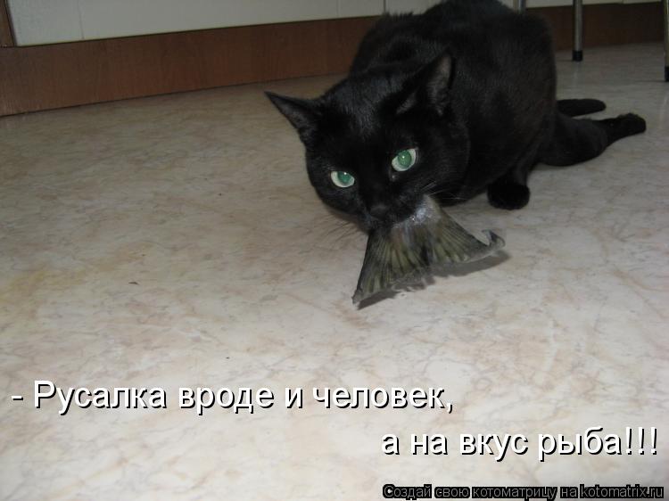 Котоматрица: - Русалка вроде и человек,  а на вкус рыба!!!