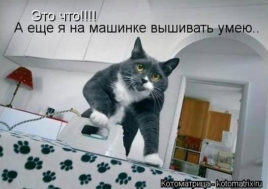 Котоматрица: Это что!!!! А еще я на машинке вышивать умею..