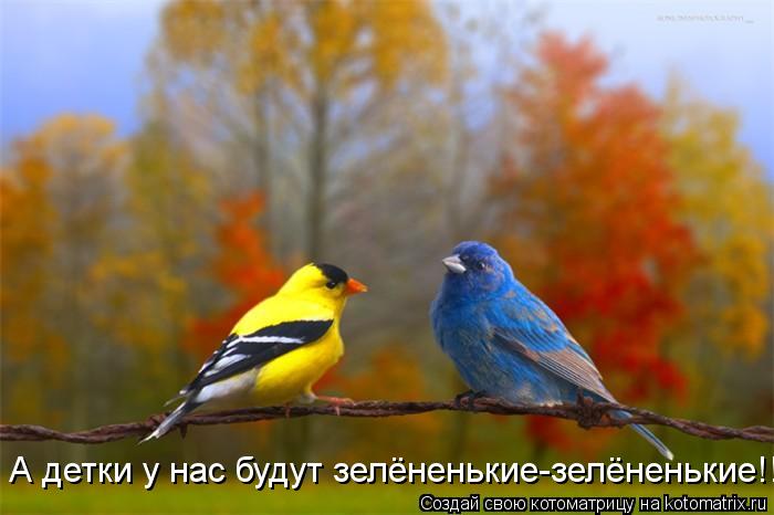 Посмеялся сам - поделись с другом!!!