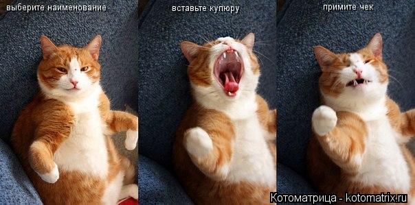 Котоматрица: выберите наименование  вставьте купюру примите чек