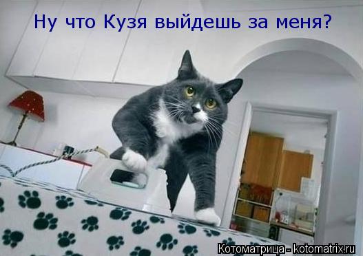 Котоматрица: Ну что Кузя выйдешь за меня?