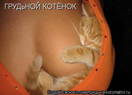 Котоматрица: ГРУДьНОЙ КОТЁНОК
