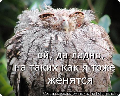 Котоматрица: -ой, да ладно,  на таких как я тоже   женятся