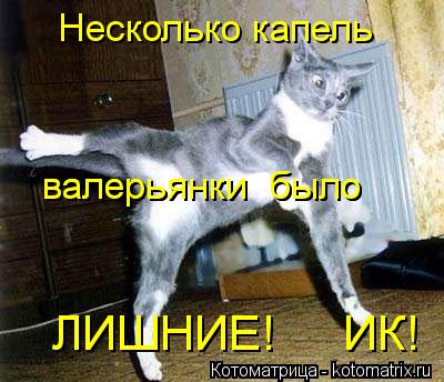 Котоматрица: валерьянки  было валерьянки  было Несколько капель  ЛИШНИЕ!     ИК! ЛИШНИЕ!     ИК!