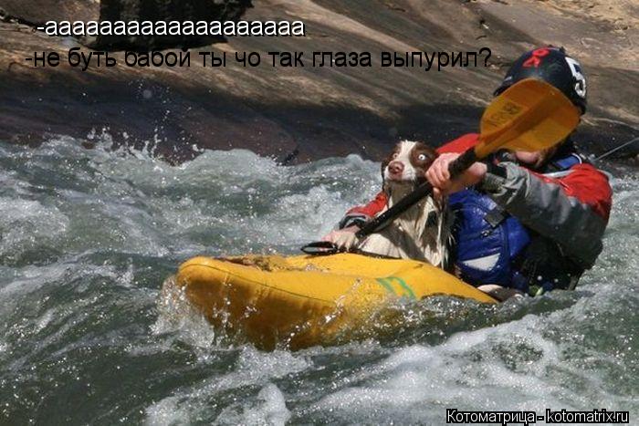 Котоматрица: -ааааааааааааааааааа не буть бабой ты чо так глаза выпурил? -не буть бабой ты чо так глаза выпурил?