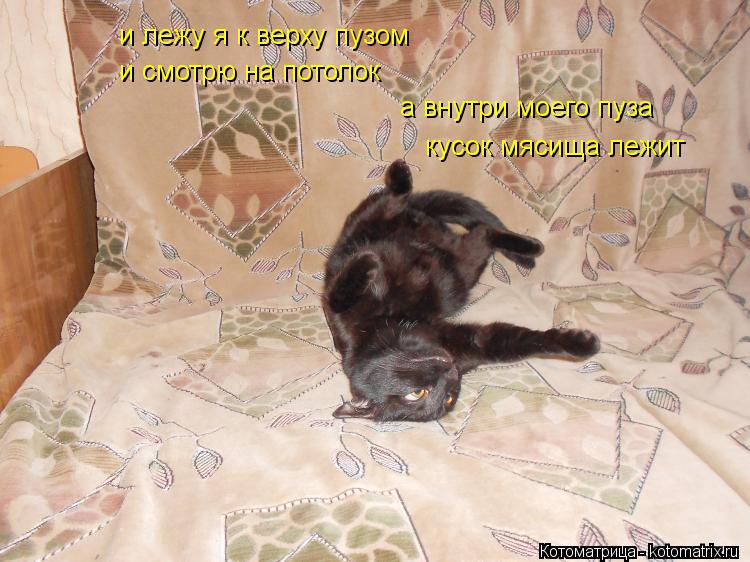 Котоматрица: и смотрю на потолок а внутри моего пуза и лежу я к верху пузом  кусок мясища лежит
