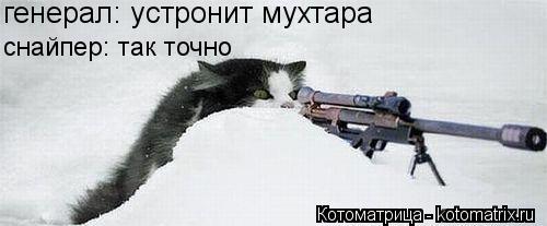 Котоматрица: генерал: устронит мухтара  снайпер: так точно