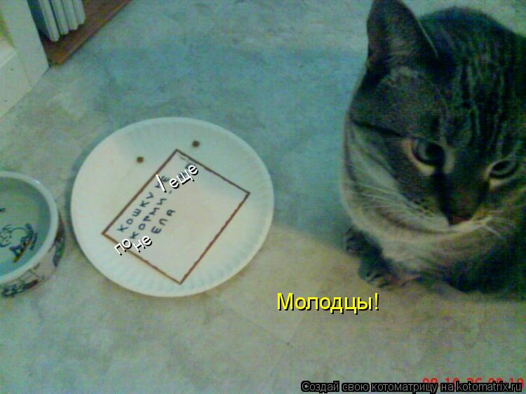 Котоматрица: \ еще не по Молодцы!