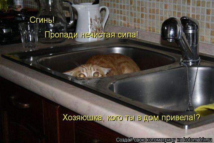 Котоматрица: Сгинь! Пропади нечистая сила! Хозяюшка, кого ты в дом привела!?