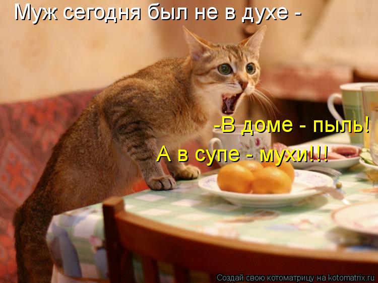 Котоматрица: Муж сегодня был не в духе - -В доме - пыль! А в супе - мухи!!!