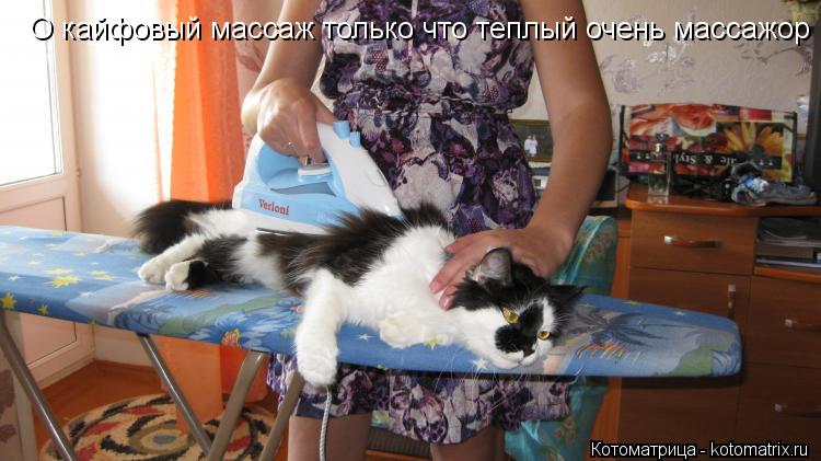 Котоматрица: О кайфовый массаж только что теплый очень массажор