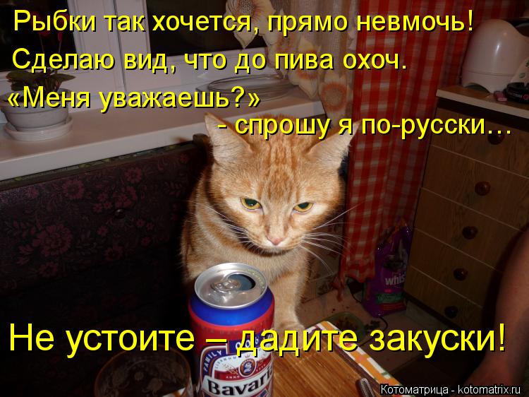 Котоматрица: Рыбки так хочется, прямо невмочь! Сделаю вид, что до пива охоч. «Меня уважаешь?»  - спрошу я по-русски… Не устоите – дадите закуски!