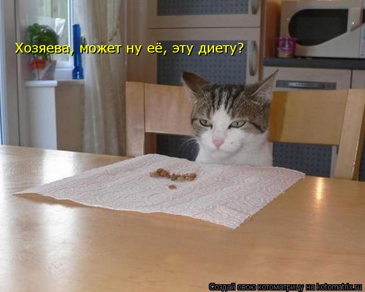 Котоматрица: Хозяева, может ну её, эту диету?
