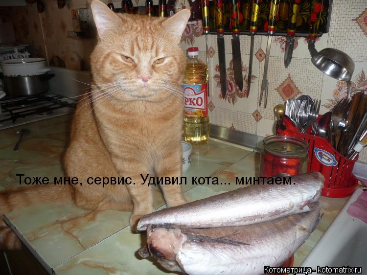Котоматрица: Тоже мне, сервис. Удивил кота... минтаем.
