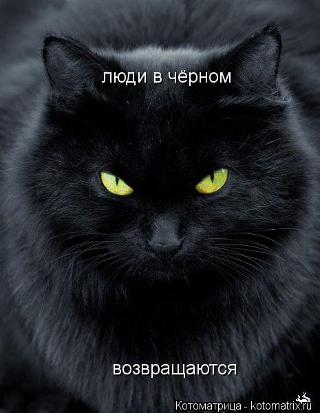 Котоматрица: люди в чёрном возвращаются