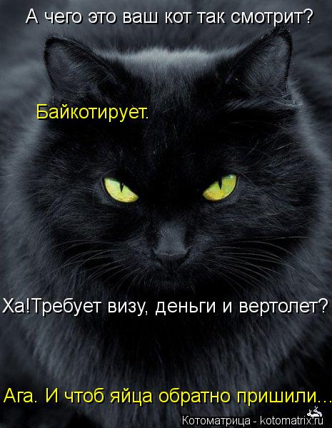 Котоматрица: А чего это ваш кот так смотрит? Байкотирует. Ха!Требует визу, деньги и вертолет? Ага. И чтоб яйца обратно пришили...