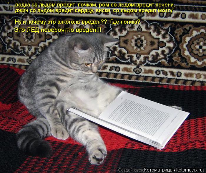 Котоматрица: "... водка со льдом вредит  почкам, ром со льдом вредит печени, джин со льдом вредит сердцу, виски  со льдом вредит мозгу". Ну и почему это алког