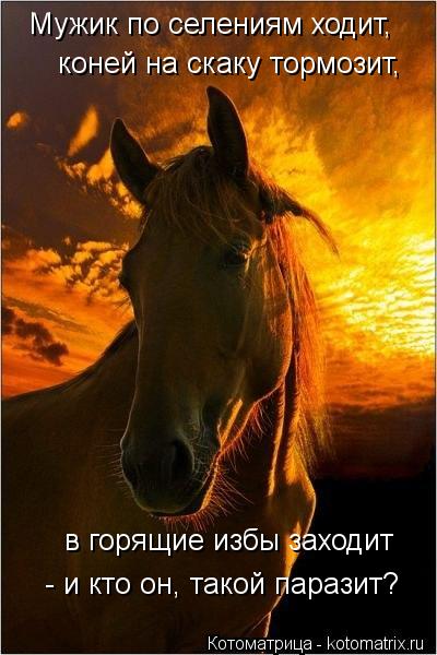 Котоматрица: Мужик по селениям ходит, коней на скаку тормозит,  в горящие избы заходит - и кто он, такой паразит?