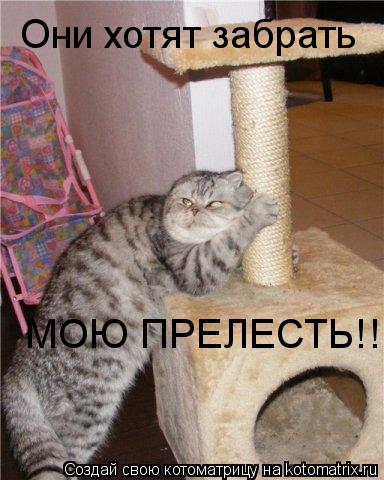 Котоматрица: Они хотят забрать МОЮ ПРЕЛЕСТЬ!!!