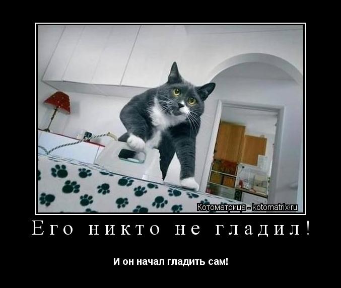 Котоматрица: Его никто не гладил! И он начал гладить сам!