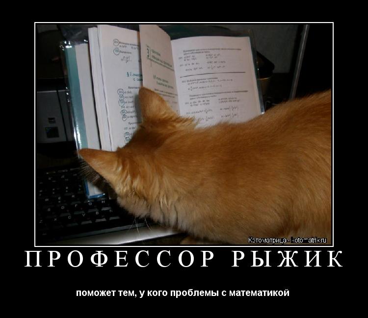 ПРОФЕССОР РЫЖИК поможет тем, у кого проблемы с математикой ... Котоматрица: ПРОФЕССОР РЫЖИК поможет тем, у кого проблемы с математикой