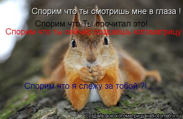 Спорим что ты смотришь мне в глаза ! Спорим что Ты прочитал это! Спорим что ты сейчас создаешь котома... Котоматрица: Спорим что ты смотришь мне в глаза ! Спорим что Ты прочитал это! Спорим что ты сейчас создаешь котоматрицу ! Спорим что я слежу за тобой ?!.....