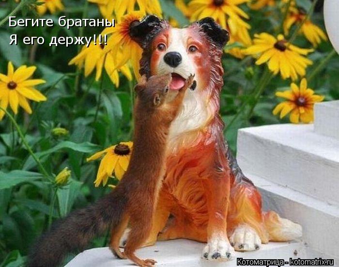 Бегите братаны Я его держу!!!... Котоматрица: Бегите братаны Я его держу!!!