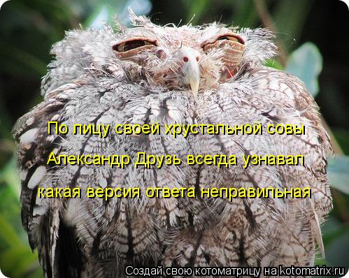 По лицу своей хрустальной совы Александр Друзь всегда узнавал какая версия ответа неправильная... Котоматрица: По лицу своей хрустальной совы Александр Друзь всегда узнавал какая версия ответа неправильная