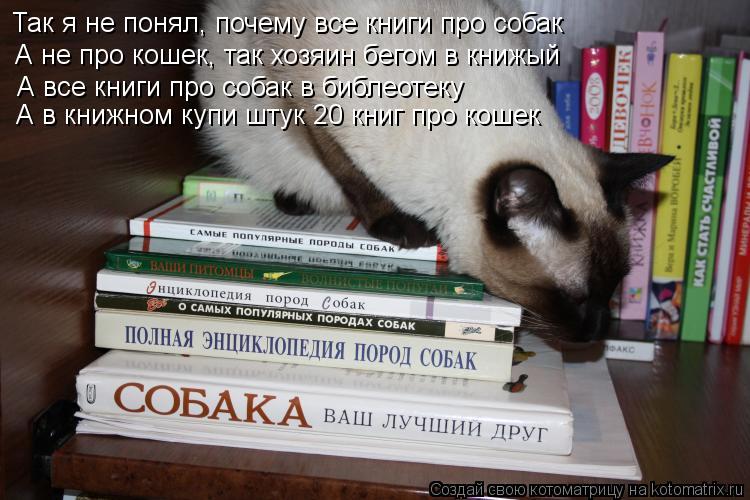 Так я не понял, почему все книги про собак А не про кошек, так хозяин бегом в книжый А все книги про... Котоматрица: Так я не понял, почему все книги про собак А не про кошек, так хозяин бегом в книжый А все книги про собак в библеотеку А в книжном купи штук 20