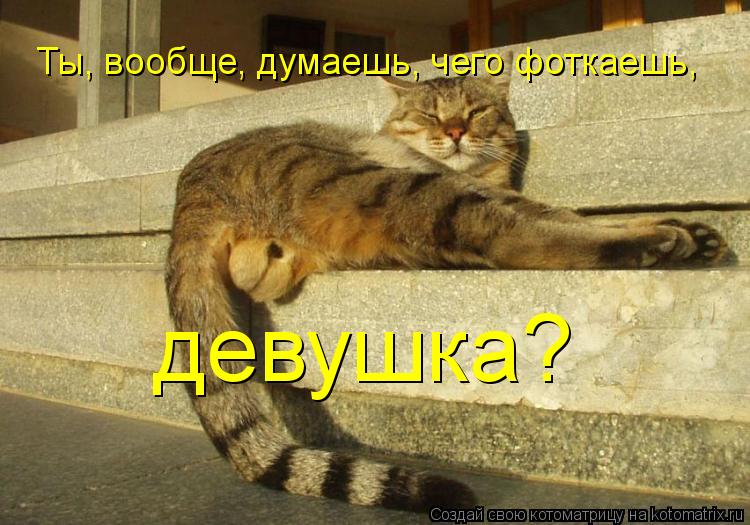 Ты, вообще, думаешь, чего фоткаешь, девушка?... Котоматрица: Ты, вообще, думаешь, чего фоткаешь, девушка?