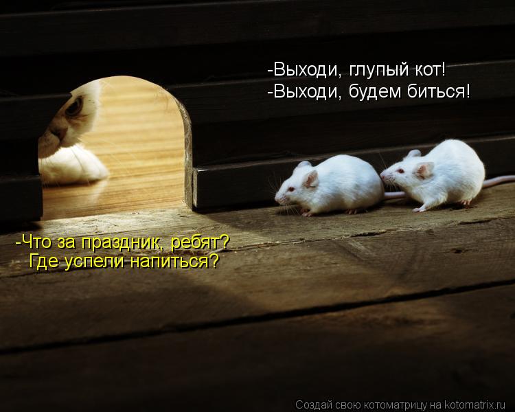 -Выходи, глупый кот! -Выходи, будем биться! -Что за праздник, ребят? Где успели напиться?... Котоматрица: -Выходи, глупый кот! -Выходи, будем биться! -Что за праздник, ребят? Где успели напиться?