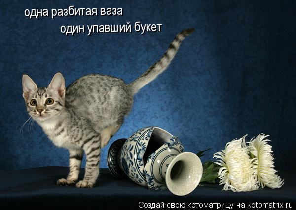 одна разбитая ваза один упавший букет... Котоматрица: одна разбитая ваза один упавший букет