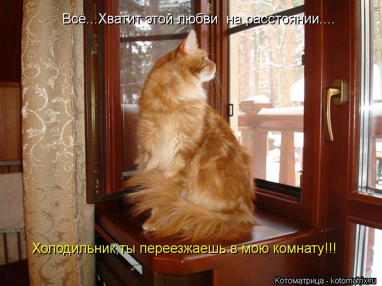 Всё...Хватит этой любви на расстоянии.... Холодильник,ты переезжаешь в мою комнату!!!... Котоматрица: Всё...Хватит этой любви на расстоянии.... Холодильник,ты переезжаешь в мою комнату!!!
