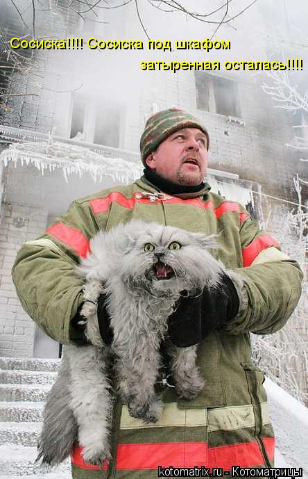 Сосиска!!!! Сосиска под шкафом затыренная осталась!!!!... Котоматрица: Сосиска!!!! Сосиска под шкафом затыренная осталась!!!!