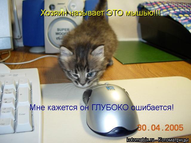 Хозяин называет ЭТО мышью!!! Хозяин называет ЭТО мышью!!! Мне кажется он ГЛУБОКО ошибается!... Котоматрица: Хозяин называет ЭТО мышью!!! Хозяин называет ЭТО мышью!!! Мне кажется он ГЛУБОКО ошибается!