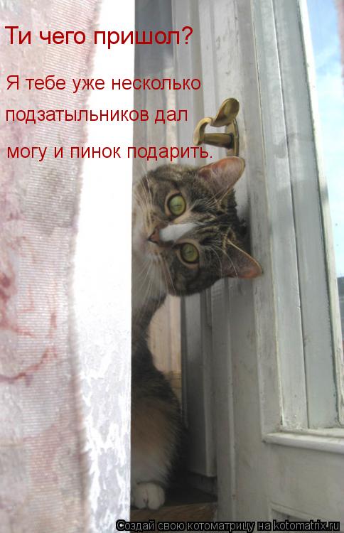 Я тебе уже несколько подзатыльников дал Ти чего пришол? могу и пинок подарить.... Котоматрица: Я тебе уже несколько подзатыльников дал Ти чего пришол? могу и пинок подарить.