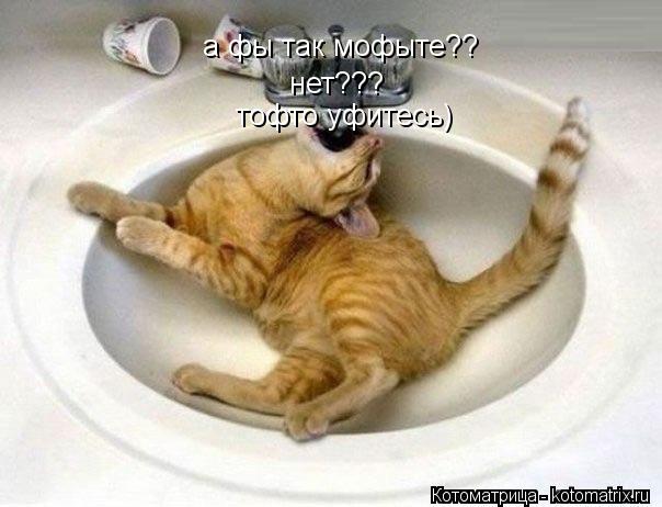 Котоматрица: а фы так мофыте?? нет??? тофто уфитесь)