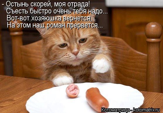 - Остынь скорей, моя отрада! Съесть быстро очень тебя надо... Вот-вот хозяюшка вернется, На этом наш ... Котоматрица: - Остынь скорей, моя отрада! Съесть быстро очень тебя надо... Вот-вот хозяюшка вернется, На этом наш роман прервется...