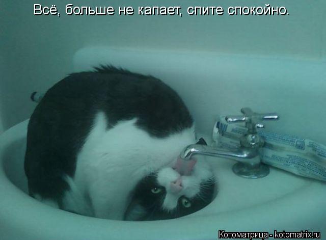 Всё, больше не капает, спите спокойно.... Котоматрица: Всё, больше не капает, спите спокойно.