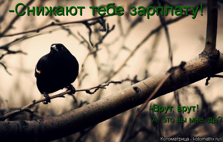 -Снижают тебе зарплату! -Врут, врут! А, это вы мне, да?... Котоматрица: -Снижают тебе зарплату! -Врут, врут! А, это вы мне, да?