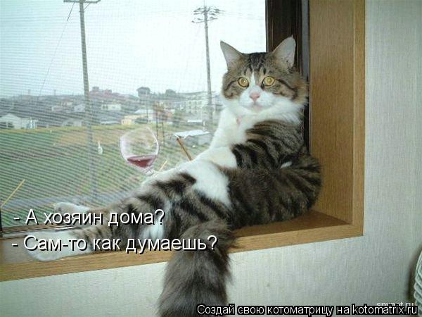 - А хозяин дома? - Сам-то как думаешь?... Котоматрица: - А хозяин дома? - Сам-то как думаешь?