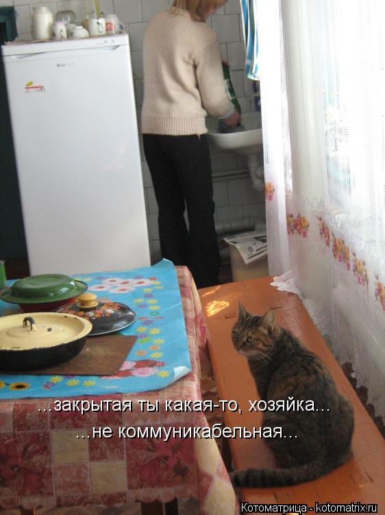 ...закрытая ты какая-то, хозяйка... ...не коммуникабельная...... Котоматрица: ...закрытая ты какая-то, хозяйка... ...не коммуникабельная...