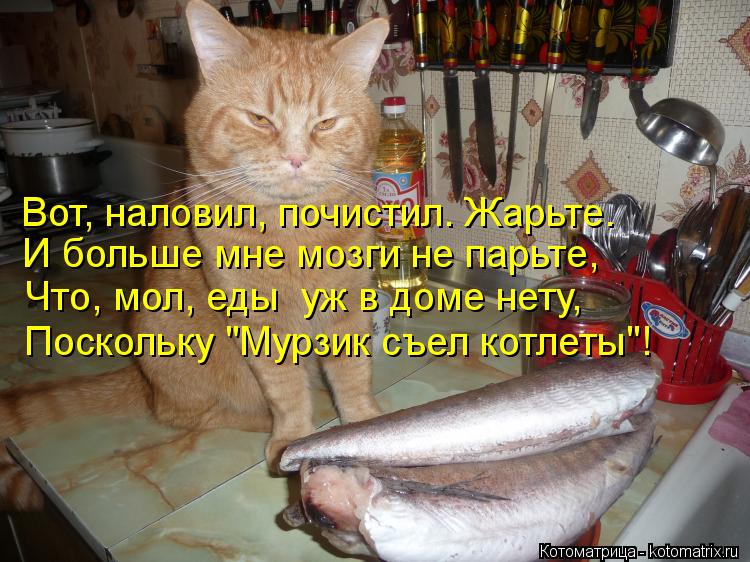 Котоматрица: Вот, наловил, почистил. Жарьте.  И больше мне мозги не парьте, Что, мол, еды  уж в доме нету,  Поскольку "Мурзик съел котлеты"!
