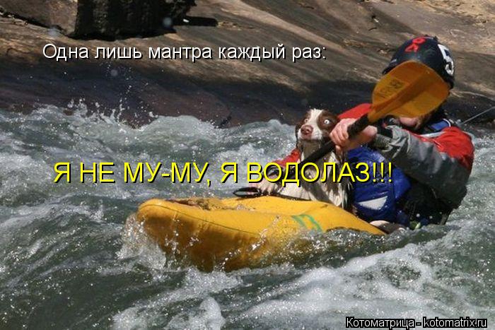 Одна лишь мантра каждый раз: Я НЕ МУ-МУ, Я ВОДОЛАЗ!!!... Котоматрица: Одна лишь мантра каждый раз: Я НЕ МУ-МУ, Я ВОДОЛАЗ!!!