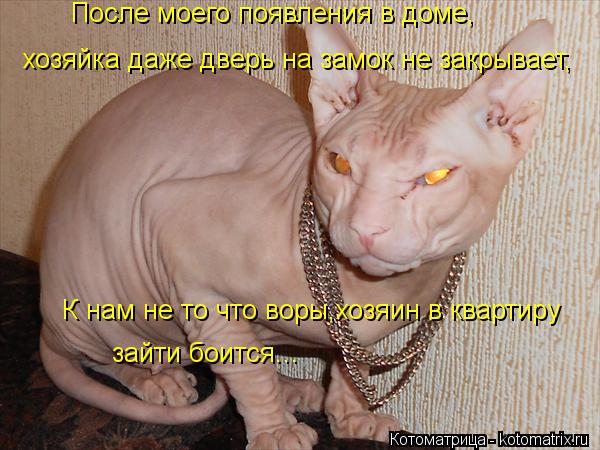 хозяйка даже дверь на замок не закрывает, К нам не то что воры,хозяин в квартиру зайти боится... Пос... Котоматрица: хозяйка даже дверь на замок не закрывает, К нам не то что воры,хозяин в квартиру зайти боится... После моего появления в доме,